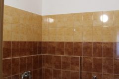 standard_1109-rotated